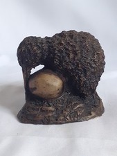 Kiwi egg bird for sale  HULL