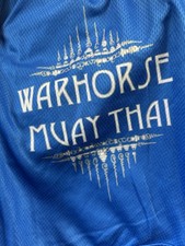 Shorts adulto Muay Thai azul malha média forrada 4 costura interna treinamento MMA cavalo de guerra comprar usado  Enviando para Brazil