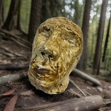 Weird bust head for sale  Forest Lake