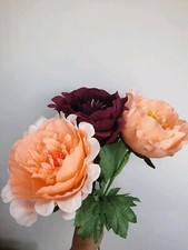 Bouquet fleurs pivoine d'occasion  Expédié en France