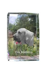 Fila brasileño, Perro de presa brasileño, Fila brasileiro, Cabeçudo boiadeiro cr, usado comprar usado  Enviando para Brazil