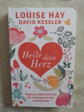 Louise hay david gebraucht kaufen  Viernheim