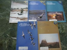 Five vintage ducks for sale  Claremont