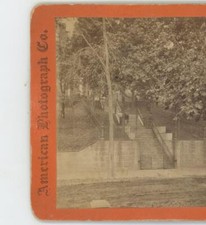 Escada longa em Holyoke MA Massachusetts Stereoview c1880 comprar usado  Enviando para Brazil