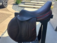 2019 cwd jumping for sale  Del Mar