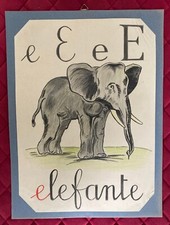 Elefante locandina alfabeto usato  Gatteo