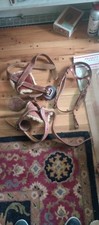Horse head stall for sale  West Chicago