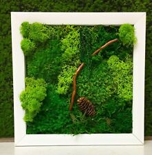 Nature moss art for sale  Pine Grove