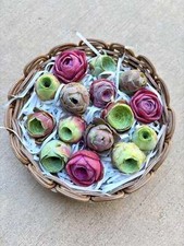 Greenovia live succulent for sale  Valencia