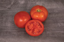 Seeds bobcat tomato for sale  Spring City