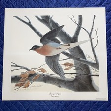 John Ruthven Pombo Passageiro Grande Moldura Vintage Impressão Assinada 1973 comprar usado  Enviando para Brazil