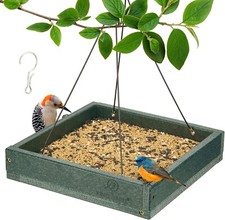 Kingsyard mealworm bird for sale  Ocala