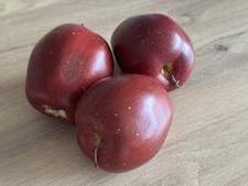 Red artificial red for sale  CANNOCK