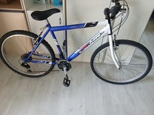 Mountain bike hornet usato  Torino