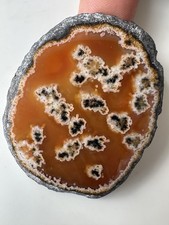 Moroccan agate polished for sale  BROMYARD