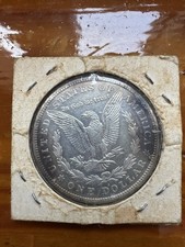 Dollaro argento morgan usato  Bazzano