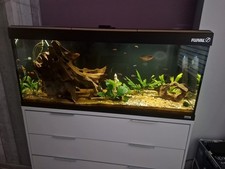4ft fish tank for sale 4ft fish tank for sale LINCOLN