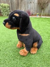 Large rottweiler dog for sale  HOCKLEY