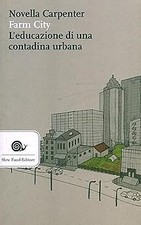 Transizione all economia usato  Italia
