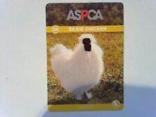 Textured silkie chicken for sale  Saint Louis
