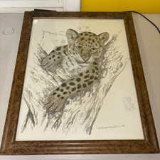 Framed print leopard for sale  Vernon Rockville