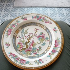Vintage wedgwood indian for sale  NEWARK