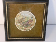 pheasants picture for sale pheasants picture for sale Vincennes