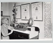 Foto de imprensa Stella Stag esposa do treinador de futebol Amos Alonzo Stagg TROFÉUS 1962, usado comprar usado Foto de imprensa Stella Stag esposa do treinador de futebol Amos Alonzo Stagg TROFÉUS 1962, usado comprar usado  Enviando para Brazil