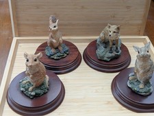 the leonardo collection nature studies for sale  STOURPORT-ON-SEVERN