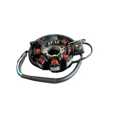 Usado, Estator de ignição de 8 bobinas para scooter ciclomotor motocicleta padrão 50cc e 150cc comprar usado  Enviando para Brazil