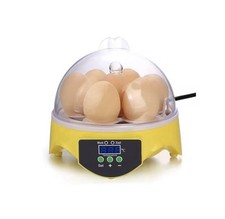 Incubatrice automatica per usato  Afragola