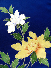 Ayane peonies japanese for sale  HATFIELD