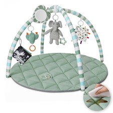 Blissful diary baby for sale  Henderson