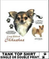 Long hair chihuahua for sale  Cape Coral