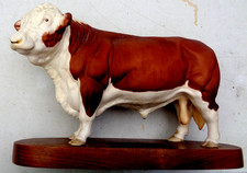 Beswick polled hereford for sale  WICKFORD