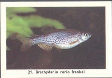 Rizla exotic aquarium for sale  MATLOCK