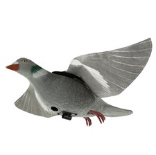 Pigeon hyper flap for sale Pigeon hyper flap for sale  BOLTON