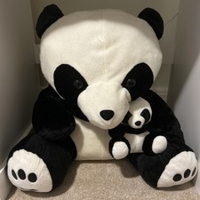 Panda panda cub for sale  FAREHAM