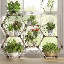 Tier hexagonal plant for sale  FLEET
