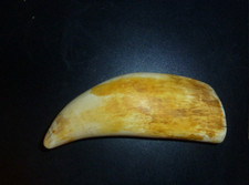 Large faux sperm for sale  ULVERSTON