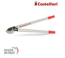 Troncarami professionale caste usato  Valva