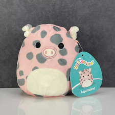 Squishmallows aquitaine pig for sale  ROTHERHAM