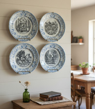 Lot assiettes parlantes d'occasion  Toulouse-