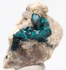 Dioptase specimen crystal for sale  Tucson