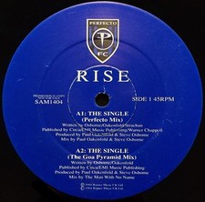 Rise single vinyl for sale  BIRMINGHAM
