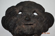 Nepal shamans fungus for sale  Ballston Spa