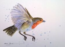 Robin bird wildlife for sale  STOCKPORT