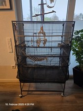 Vogelkäfig groß gebraucht gebraucht kaufen  Duisburg