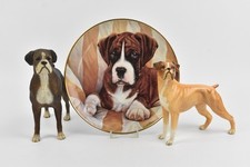 Boxer dog bundle for sale  NORTHAMPTON