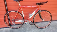 Olmo record vitalicio usato  Celle Ligure